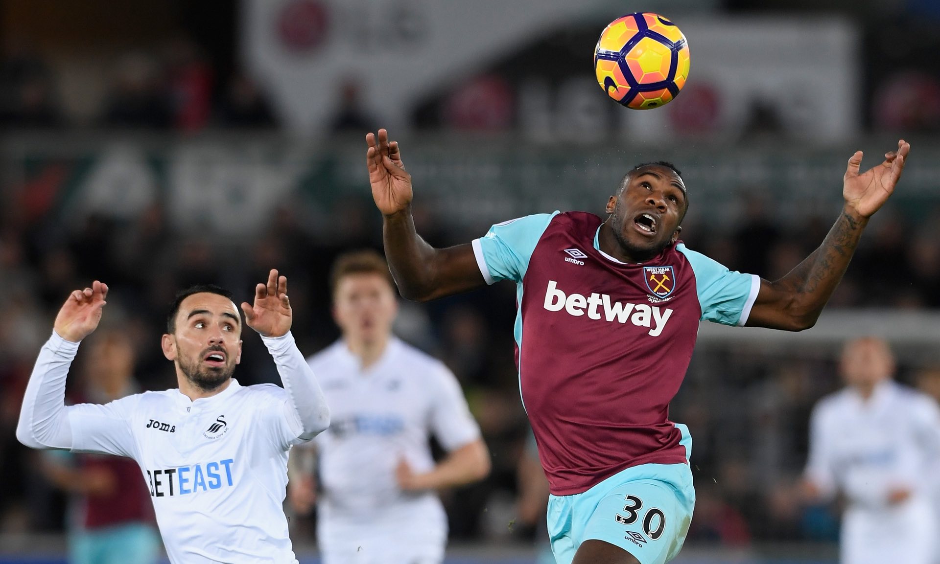 照片悼念 照片悼念